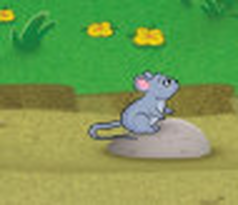 mouse